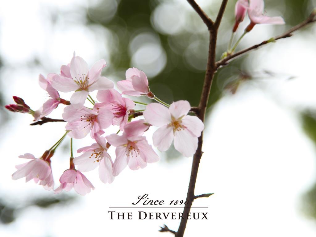 The Devereux Boutique Hotel Auckland Exterior foto